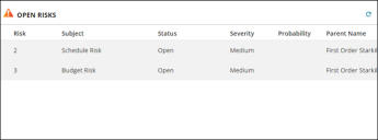 Open Risks dashboard widget